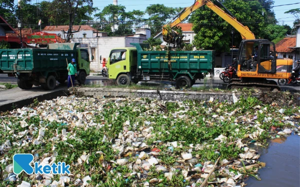 Foto Alat berat Dinas PU BM SDA Sidoarjo mengangkat sampah dari Kali Pelayaran saat sidak Bupati Sidoarjo di Desa Krembangan, Kecamatan Taman, Sidoarjo. (Foto: Fathur Roziq/Ketik.co.id)