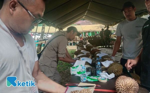Foto Teks foto: Tim penguji durian Indonesia sedang menguji durian unggulan Aceh tenggara