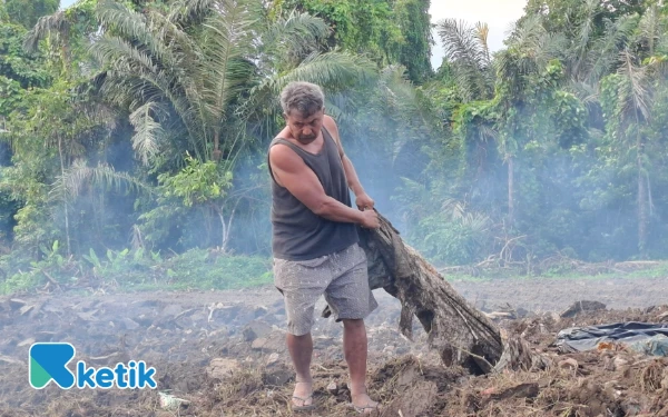 Foto Jojo mengangkut sampah sesaat sebelum lahan cabai rampung (Foto: Mursal/Ketik)