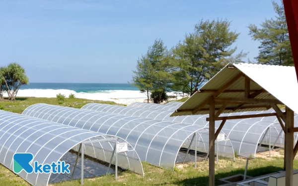 Foto Pantai Modangan di Kabupaten Malang yang akan dikembangkan jadi Industri Garam Rakyat. (Foto: Binar Gumilang/Ketik)