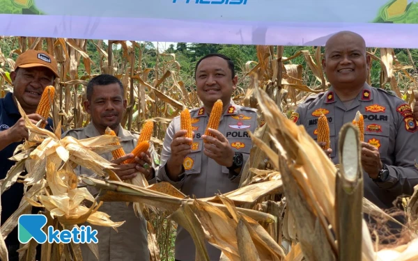 Foto Kapolres Abdya AKBP Agus Sulistianto bersama Wakapolres Misyanto, Kadis Pertanian Abdya Hendri dan Kepala Bulog Abdya memperlihatkan jagung yang telah dipanen dalam program panen raya di Babahrot, Sabtu, 27 September 2025. (Foto: T. Rahmat/Ketik)