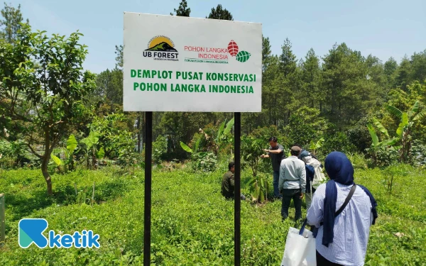Foto Area tanaman langka endemik di UB Forest (Aris ketik)