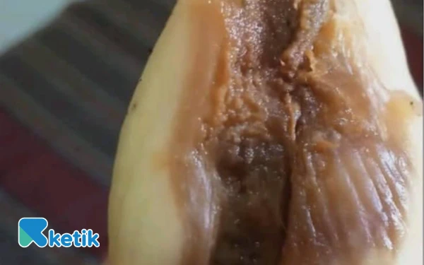 Foto Menu MBG yang dinilai tidak layak di Peterongan. (Istimewa/walimurid)