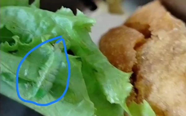 Foto Ulat Krayak atau Ulat Krop dalam sajian menu makan gratis SPPG Kedungrejo, Kerek Tuban, Yayasan Hamdalah Cerdas Amaliyah di penerima manfaat Satuan Pendidikan jenjang MI di Kecamatan Kerek, 17 Desember 2025 (Foto Ahmad Istihar/Ketik.com)