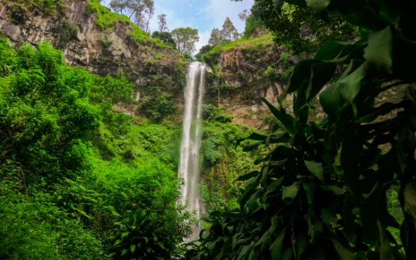 Foto Suasana Air Terjun Coban Rondo di Kabupaten Malang. (Foto: Wikipedia)