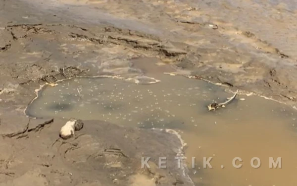 Foto Gelembung gas yang muncul di Gunong Cut, Nagan Raya, pascabanjir, Senin, 5 Januari 2025. (Foto: T. Rahmat/Ketik)