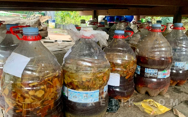 Foto Puluhan galon ecoenzym yang diolah oleh para siswa SMP Muhammadiyah 8 Kota Batu. (Foto: Dafa Wahyu Pratama/Ketik.com)