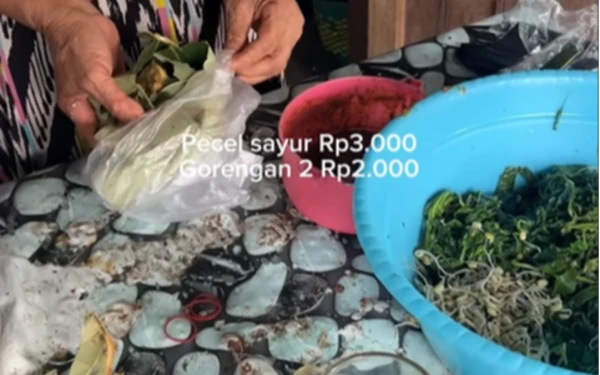 Foto Tangkapan Layar Video Instagram