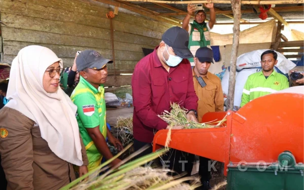 Foto Bupati Bassam didampingi Plt Kepala dinas Pertanian dan Perwakilan BPP mengoperasikan alat penggiling padi (Foto: Riman/Ketik.com)