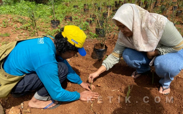 Foto Penanaman serai menjadi salah satu program BBK 7 Unair di Deda Wadeng Gresik.  (Foto : BBK Unair for Ketik.com)