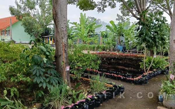 Foto Lahan SIKAP SMAN 1 Gondangwetan, memanfaatkan lahan non produktif menjadi lahan produktif. (Foto: Yuni Ernawati)