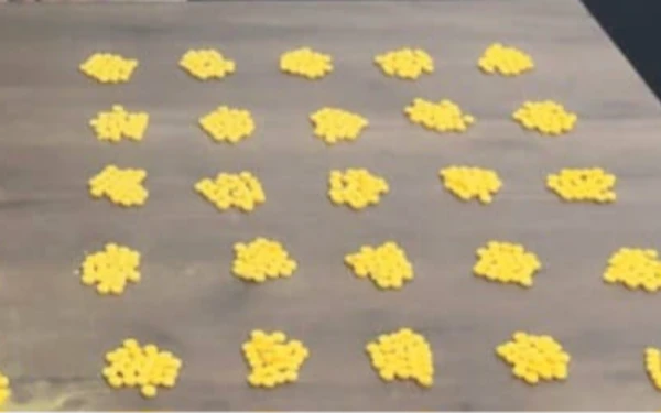 Foto Barang bukti berupa pil kuning jenis Trihexipenidyl, yang diamankan Polisi dari tangan APSR. (foto: humas polres bitung)