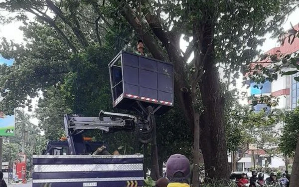 Foto Petugas DLH Kota Malang saat melakukan perempesan pohon. (Foto: malangkota.go.id)