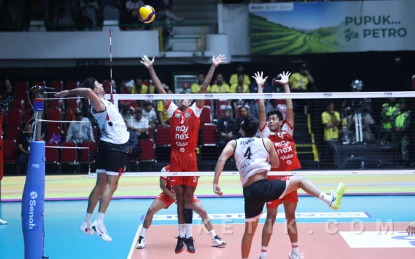 Foto Taylor Sander, Pemain Jakarta LavAni Saat Spike Bola Ke Pertahanan Medan Falcons Tirta Bhagasasi di GOR Tridharma Petrokimia Gresik, Sabtu, 31 Januari 2026 (Foto: Daniel Andayawan/Ketik.com)