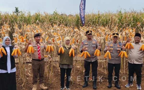 Foto Gubernur Khofifah, Kapolda Jatim, Ketua Kwarda Jatim, dan Bupati Banyuwangi kompak panen jagung Green Farm Taruna Bumi Banyuwangi, Sabtu, 28 Februari 2026. (Foto: Naufal/Ketik.com)