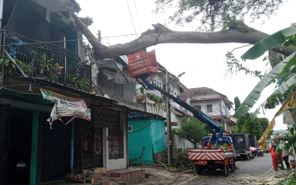 Foto Pohon setinggi 15 meter tumbang dan menimpa tiga rumah di Jalan Muharto Gang 5 RT 17 RW 6 Kecamatan Kedungkandang Kota Malang, Kamis, 5 Maret 2026 (Foto : Kukuh / Ketik.com)