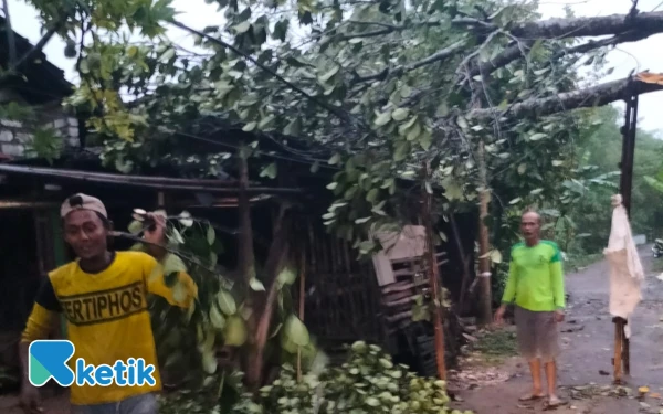 Foto Warga gotong royong membersihkan atap rumah warga desa Tanjungrejo Singgahan pasca diterjang angin puting beliung di wilayah Kabupaten Tuban, 30 September 2025. (Foto: Ahmad Istihar/Ketik)