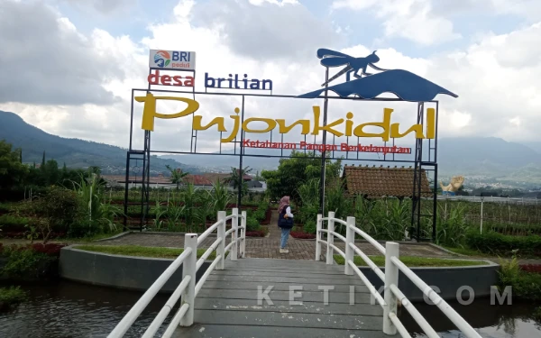 Foto Pengunjung sedang menikmati keindahan pemandangan di Cafe Sawah Pujonkidul Kabupaten Malang. (Foto: Aliyah/Ketik.com)