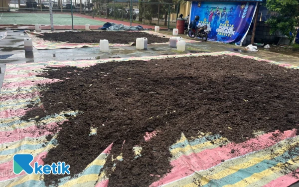 Foto Produksi pupuk eceng gondok oleh Ditpolairud Polda Sumsel, Senin 13 Desember 2025 (Foto: Yola/Ketik.com)