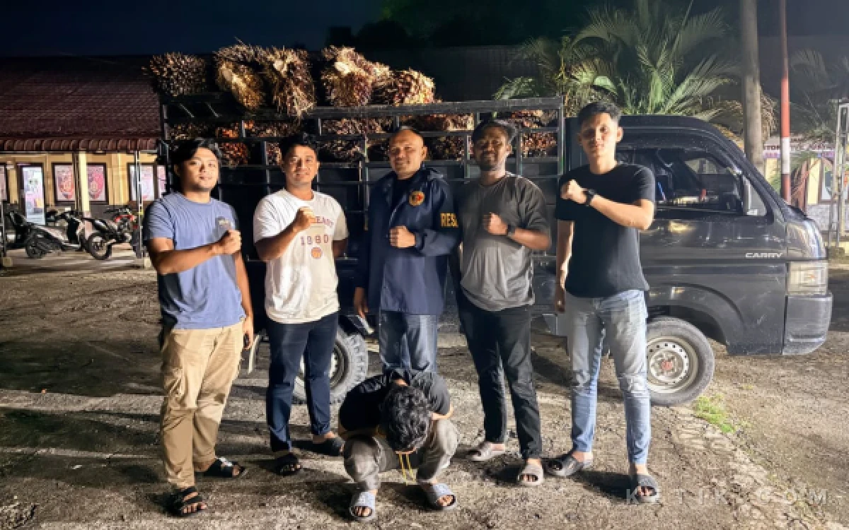 Thumbnail Berita - Satreskrim Polres Abdya Tangkap “Ninja Sawit” Usai Gondol Hampir Dua Ton TBS