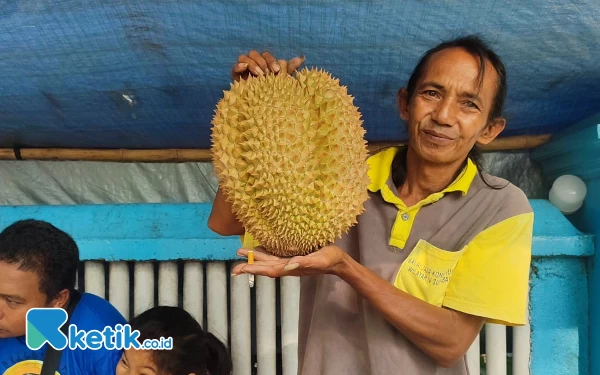 Tergoda Durian Montong? Pedagang di Pacitan Jual Rp80 Ribu Per Kilogram