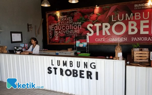Menikmati Jus Stroberi Sambil Petik Stroberi di Wisata Lumbung Stroberi Kota Batu
