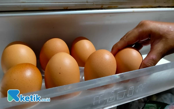 Harga Pakan Ternak Naik, Harga Telur di Pamekasan Ikut Naik