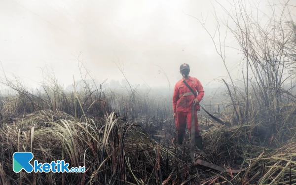 Mau Bernapas Susah, Begini Derita Warga Palembang yang Terdampak Asap Karhutla