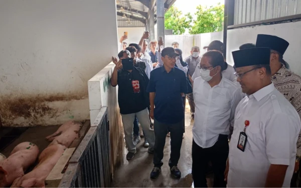 Thumbnail Komisi B DPRD Surabaya Sidak RPH Banjar Sugihan, Pastikan Suara Babi Tak Ganggu Masyarakat