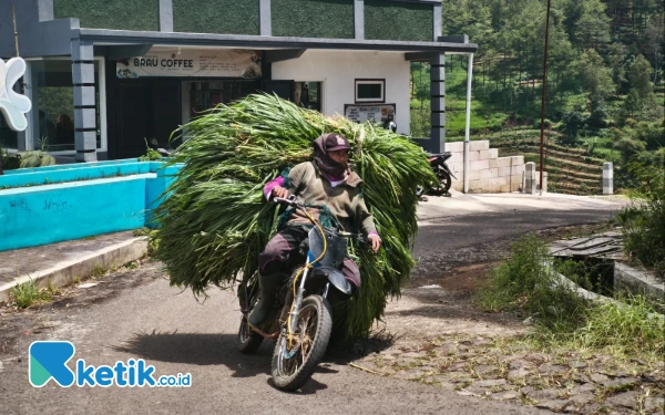 Thumbnail Berita - Macet di Pujon-Batu? Tenang, Ada Jalur Alternatif Ini
