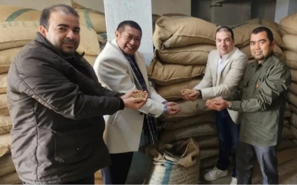 39,6 Ton Biji Kopi Robusta Malang Diekspor ke Mesir