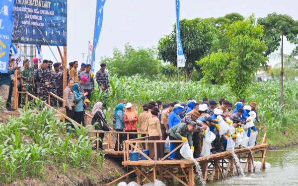 Thumbnail Berita - TNI AL Batalyon Infanteri 7 Marinir Teluk Pandan Wujudkan Ketahanan Pangan Nasional Lewat Bakti Sosial dan Kesehatan