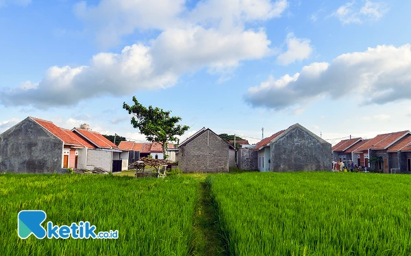 Thumbnail Potret perumahan subsidi Bantolo Regency di Kabupaten Grobogan, Jawa Tengah, Rabu (5 Februari 2025). PT Bank Tabungan Negara (BTN) Persero mendukung program 3 juta rumah dengan menunjukkan komitmennya dalam menyediakan akses KPR Subsidi untuk Masyarakat Berpenghasilan Rendah (MBR), kelompok pekerja informal, hingga kalangan disabilitas. (Foto: Achmad Fazeri/Ketik.co.id)
