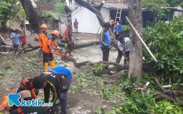 Diterjang Angin Kencang, 8 Rumah Warga Situbondo Rusak