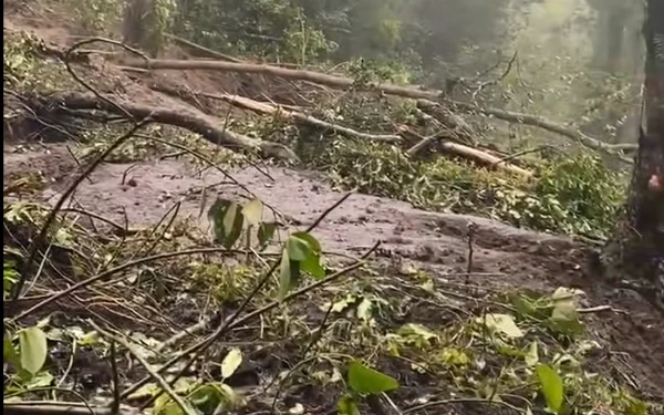 Thumbnail Berita - Longsor di Cangar, Tim SAR Surabaya Diterjunkan