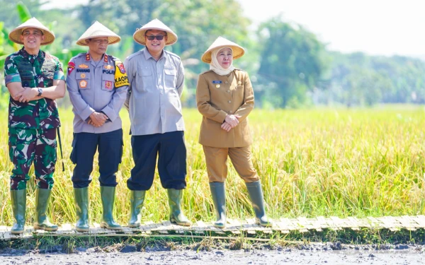 Thumbnail Berita - Pastikan Jadi Lumbung Pangan Nasional, Gubernur Jatim Pimpin Panen Raya Serentak di 37 Kabupaten/Kota