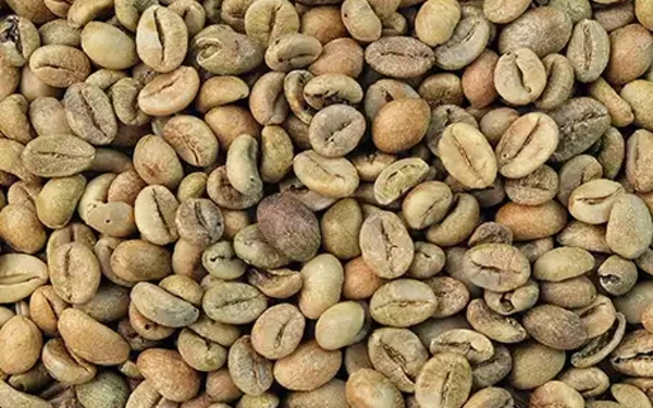 Thumbnail Berita - Kopi Hijau, Solusi Hidup Sehat di Tengah Fenomena Hustle Culture