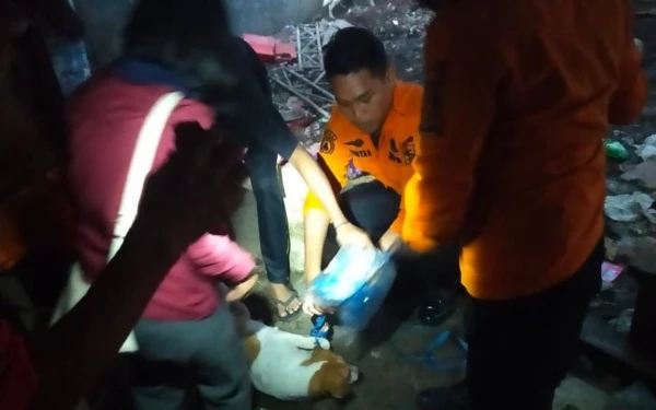 Thumbnail Berita - Bawa Mobil Pikap, Pecinta Hewan di Surabaya Evakuasi 9 Ekor Anjing dari Rumah Majikan