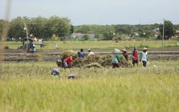 Thumbnail Berita - Program Makmur Bantu Petani Hemat Biaya dan Tingkatkan Panen
