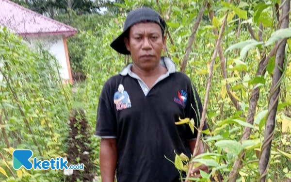 Thumbnail Berita - Kekurangan Pupuk, Hasil Panen Petani Hortikultura di Desa Baru Halsel Menurun