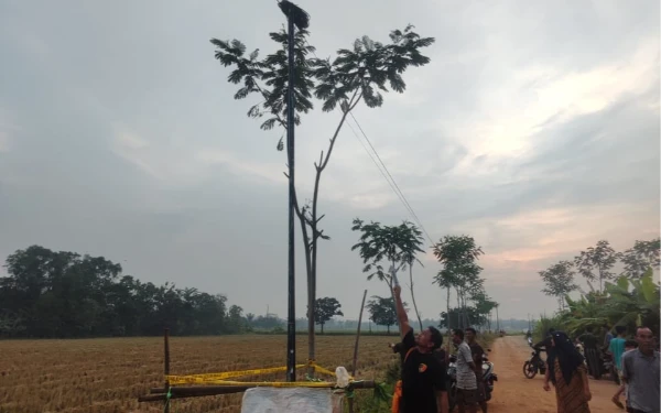 Thumbnail Berita - Kejar Layangan, Bocah 10 Tahun Meninggal Dunia Tersengat Listrik