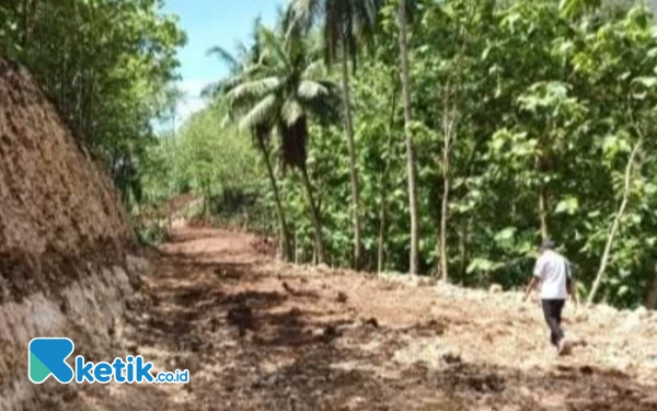Jalan Srau-Watukarung Pacitan Diperlebar 10 Meter, Target Rampung Juli 2025