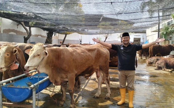 Thumbnail Berita - Sambut Idul Adha, RPH Surabaya Buka Layanan "Qurban Amanah 2025"