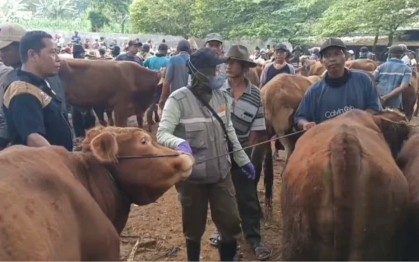 Jelang Idul Adha 1446 Hijriah, DKP2P Tuban Tingkatkan Pengawasan Hewan Kurban