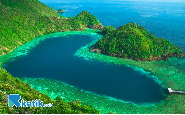 Thumbnail HUT Ke-22 Kabupaten Raja Ampat: Menelisik Awal Terbentuknya Raja Ampat hingga Mendunia