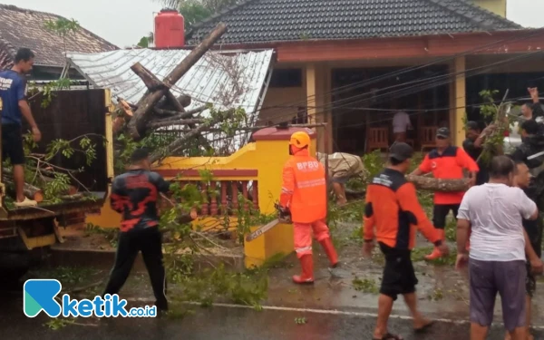 Thumbnail Berita - Hujan Lebat Picu Pohon Tumbang di Pacitan, Garasi Ibu Teguh Rusak Tertimpa