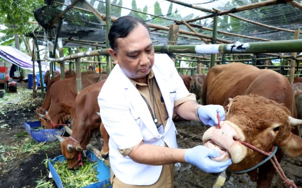 Thumbnail Berita - DKPP Surabaya Pastikan Hewan Kurban Surabaya Tak Terjangkit Penyakit