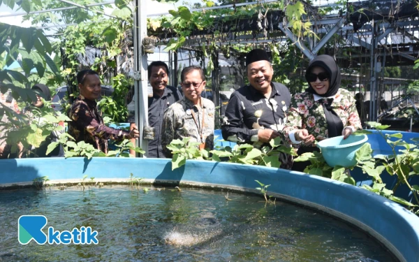 Thumbnail Di Sidoarjo, Inovasi Eco Enzim Bikin Budi Daya Lele Mudah dan Murah