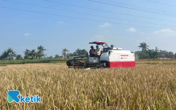 Thumbnail Berita - Combine Harvester Bantuan Presiden Prabowo Mulai Digunakan di Kota Malang, Pemkot Pastikan Buruh Tani Tak Terdampak