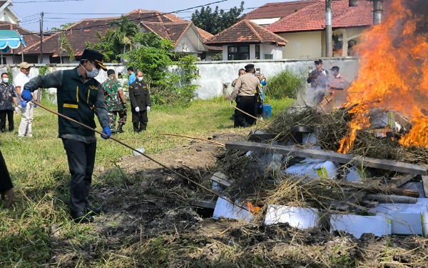 Thumbnail Berita - Barantin Musnahkan 4,4 Ton Benih Jagung Terinfeksi Bakteri Berbahaya Asal Thailand